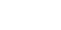 polo logo